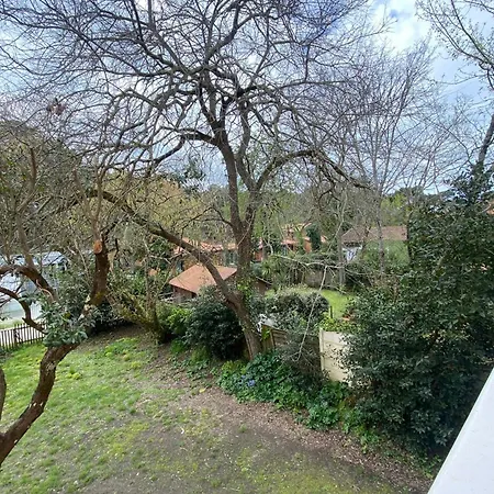 Pretty Cocoon With Two Balconies * Αρασόν