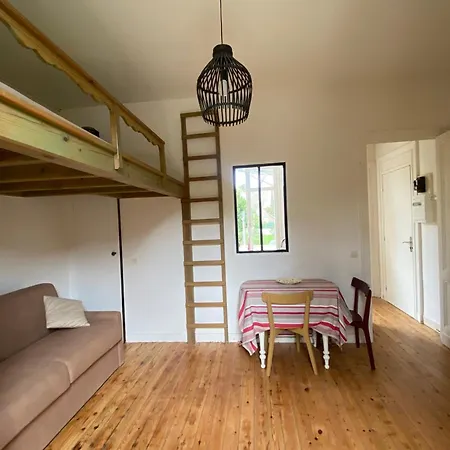 Pretty Cocoon With Two Balconies Apartment